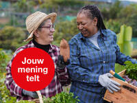 klik en vergroot: 2 vrouwen werken in een groentetuin en lachen naar elkaar